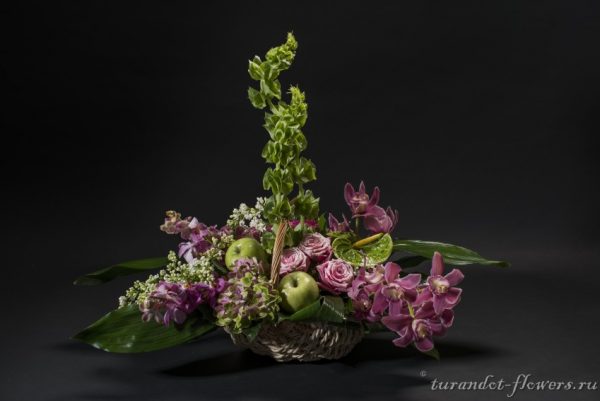 art 75569