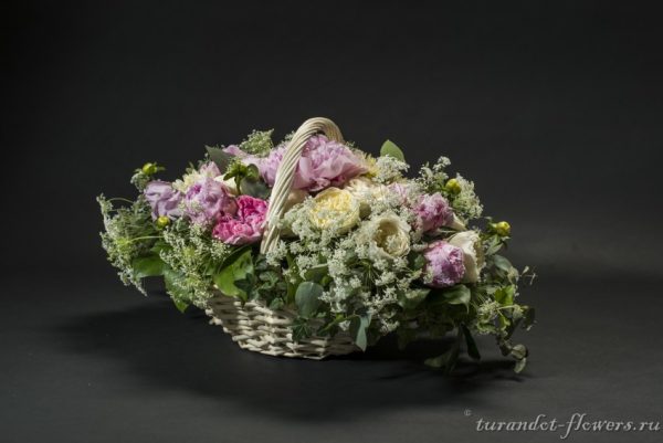 art 78506