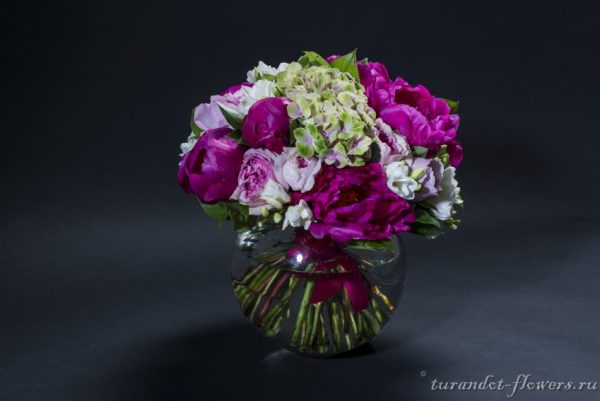 art 65101